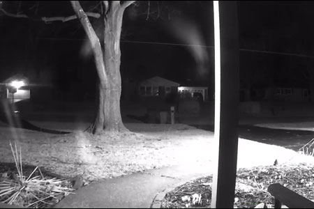 A nightvision image of a tree with a house in the background