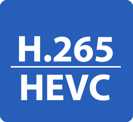h 265