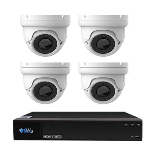 Analog Security Systems